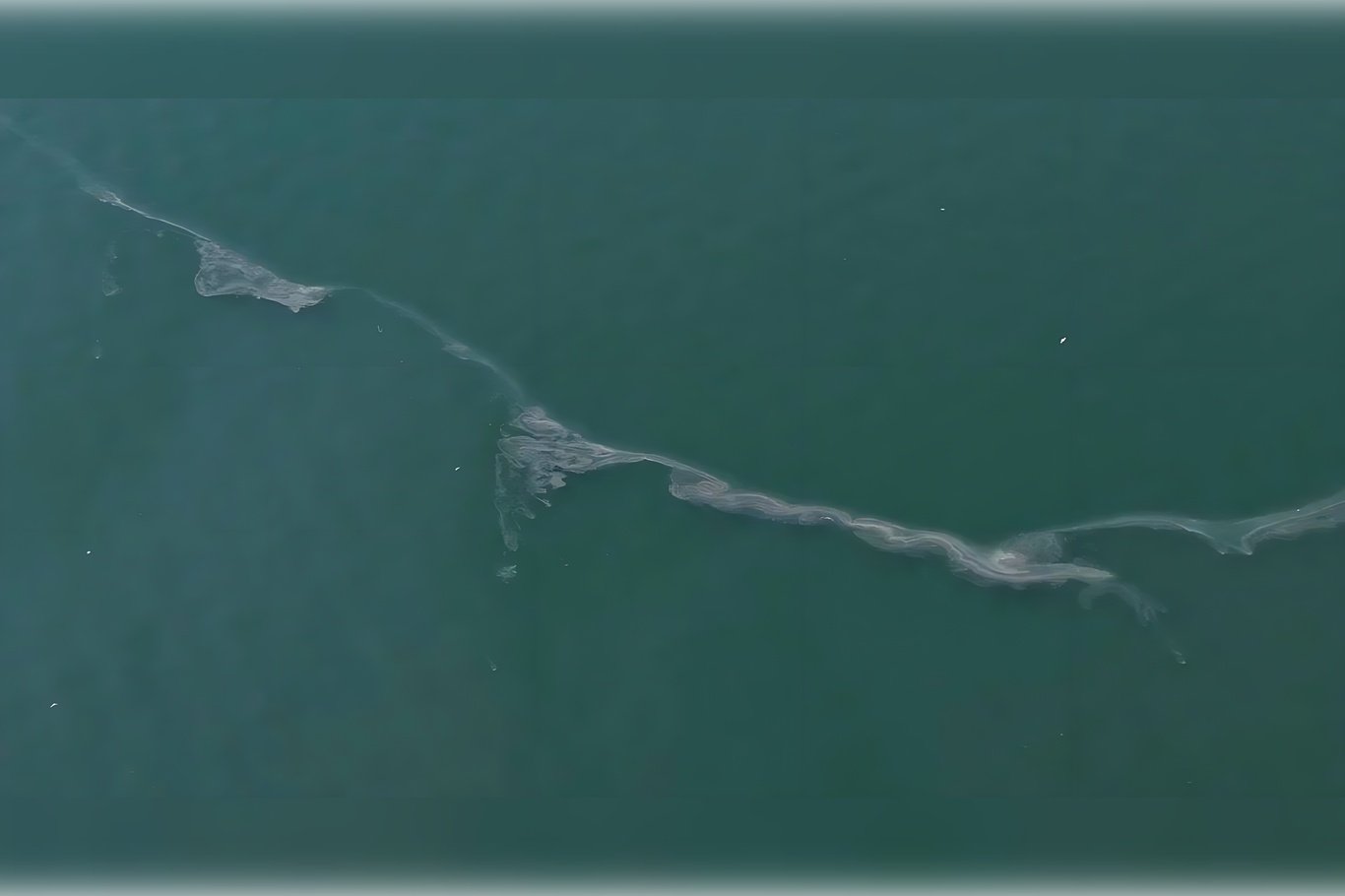 İzmir Körfezi'nde kirlilik alarmı