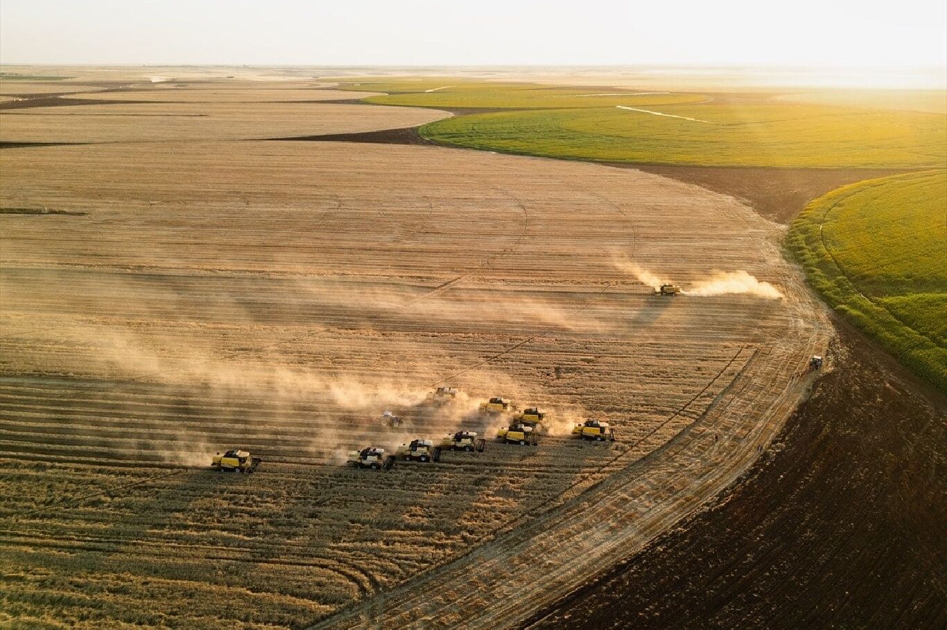 Kırsal Kalkınma Yatırım Programı'nda destek üst limitleri artırıldı