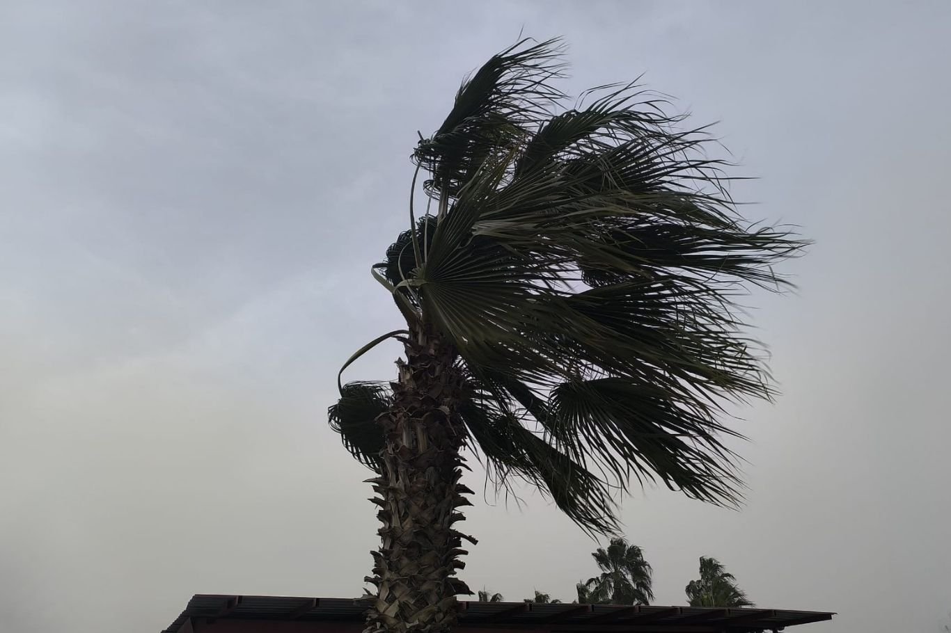 Mersin açıklarında fırtına uyarısı