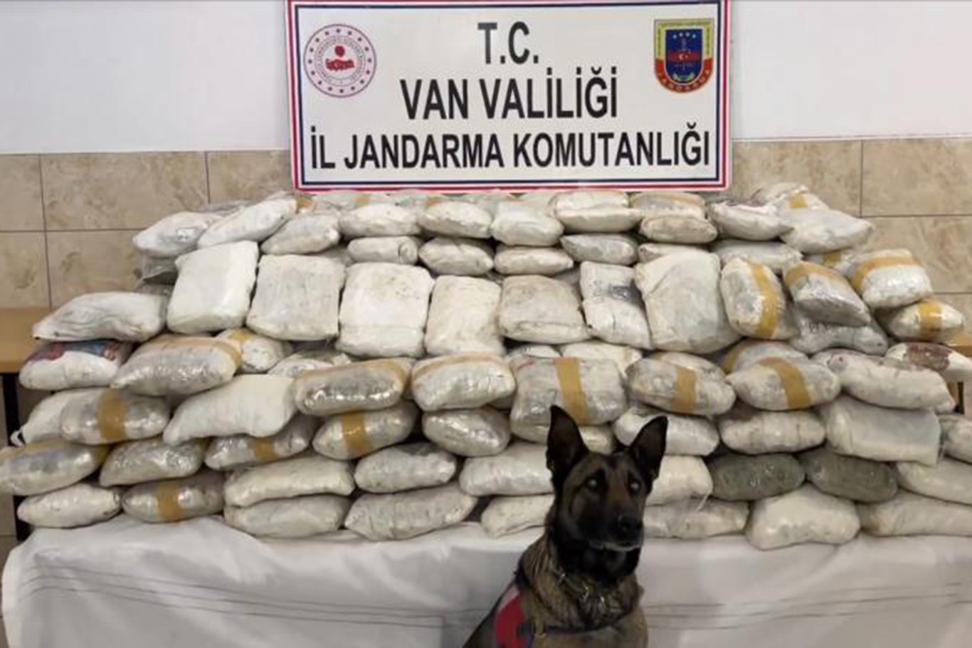Van ve Hakkari'de uyuşturucu operasyonu