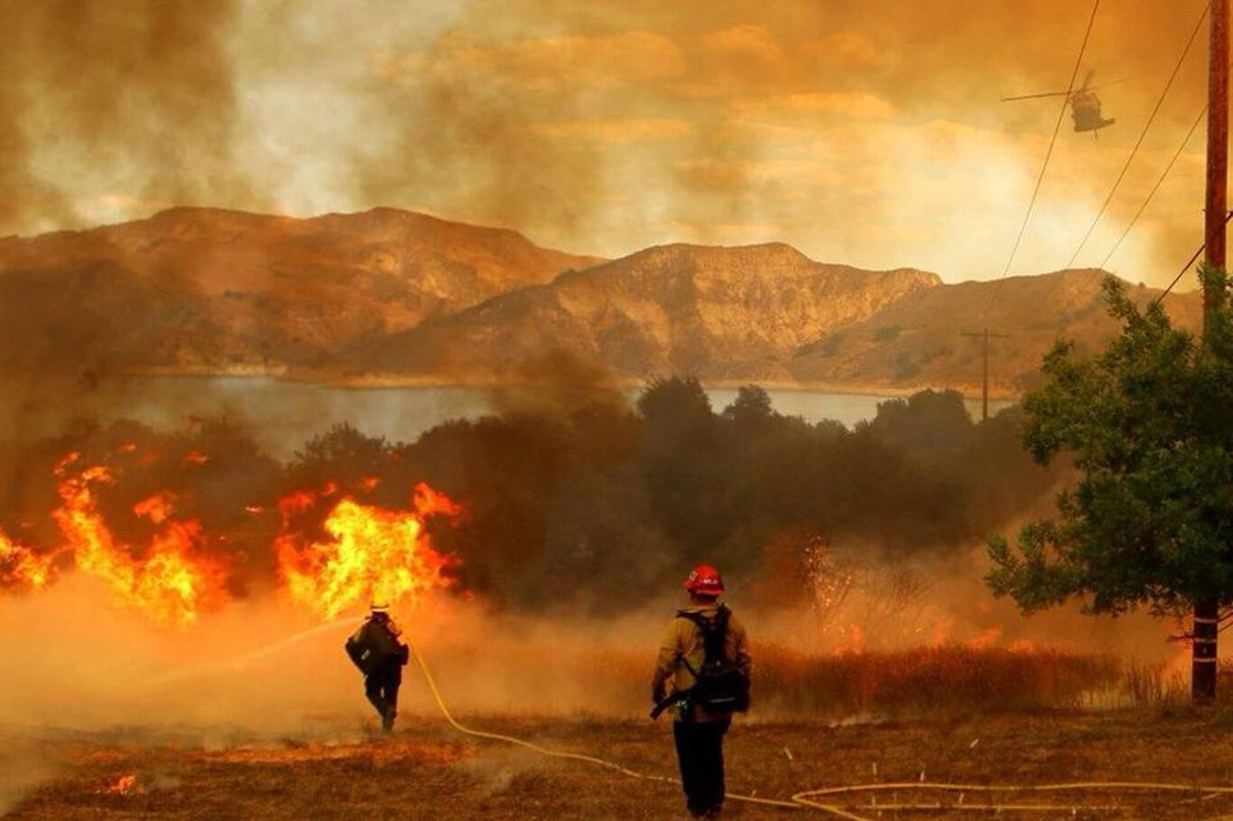 ABD'de ulusal parkta yangın faciası: 14 bin 600 dönüm alan kül oldu