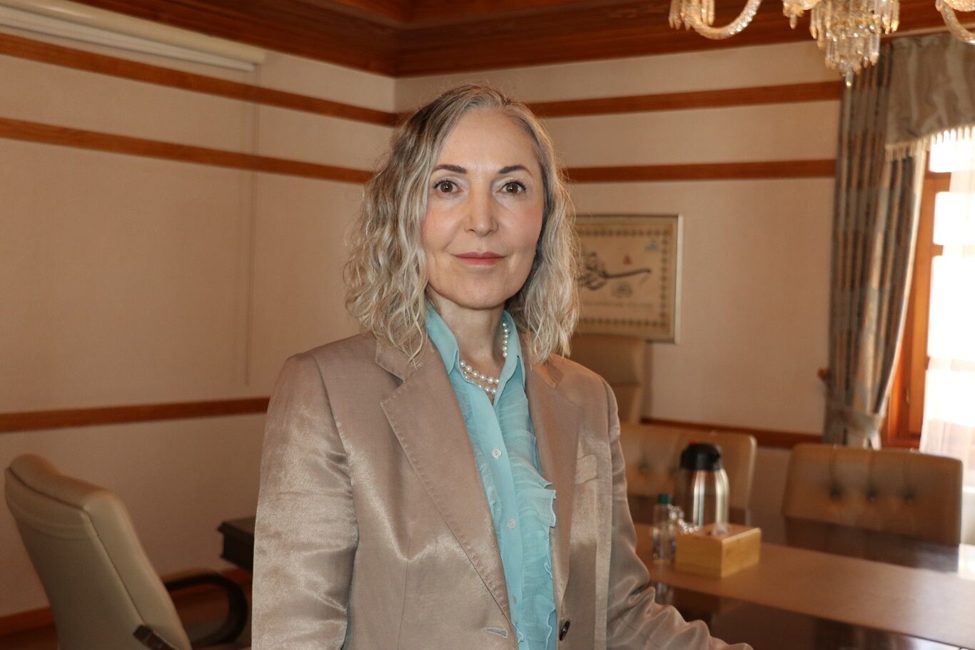 Av. Meltem Zorba: Sokakta sıfır başıboş köpek ortamı sağlanmalı