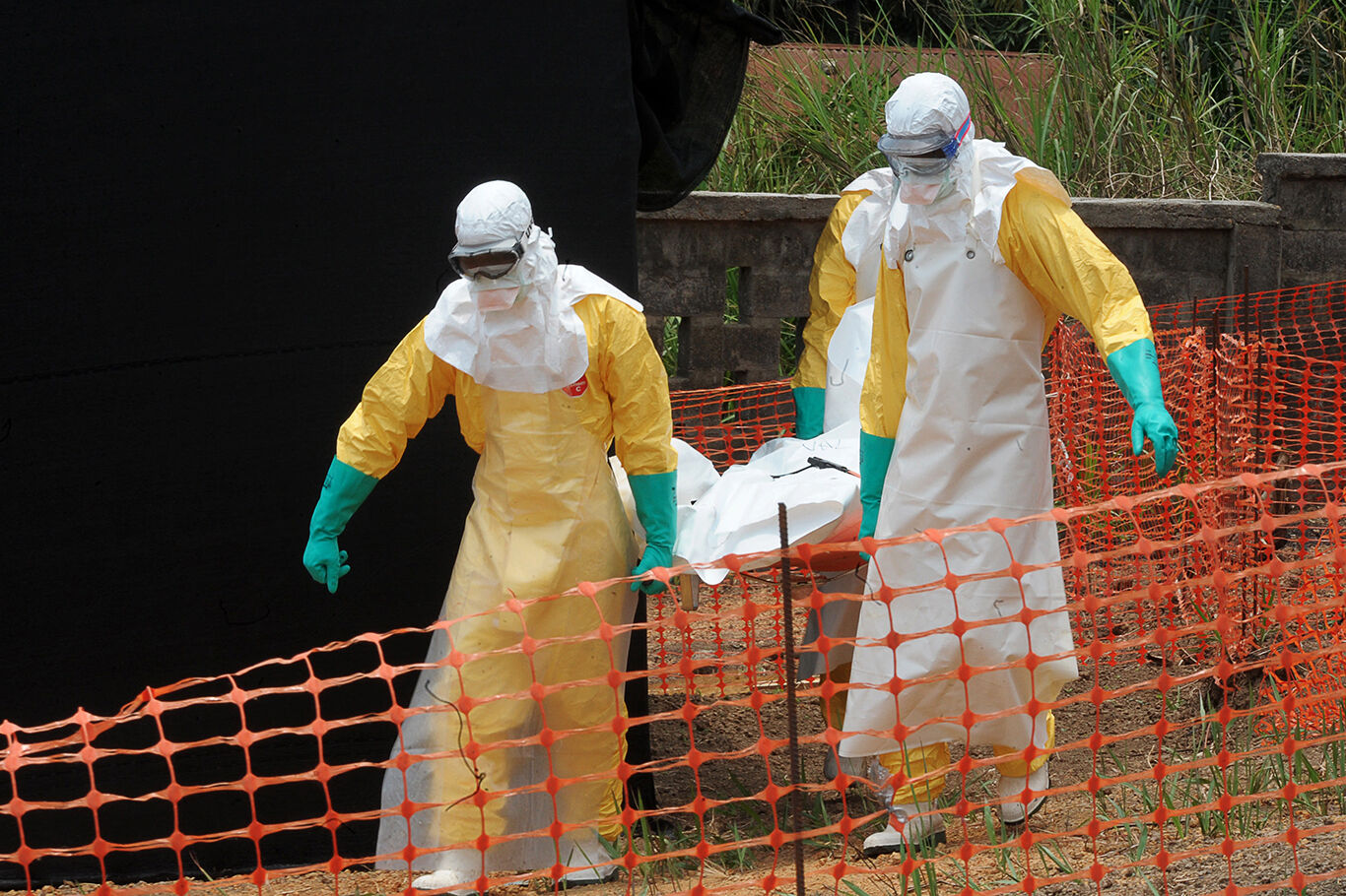 DSÖ'den Ebola salgınında yeni uyarı: Ölüm oranı yüzde 50'ye ulaştı