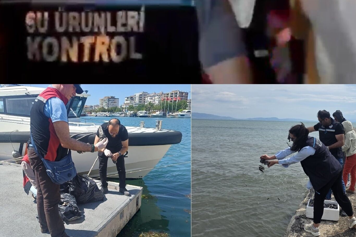 İzmir'de yasa dışı avlanan 7 ton su ürününe el konuldu
