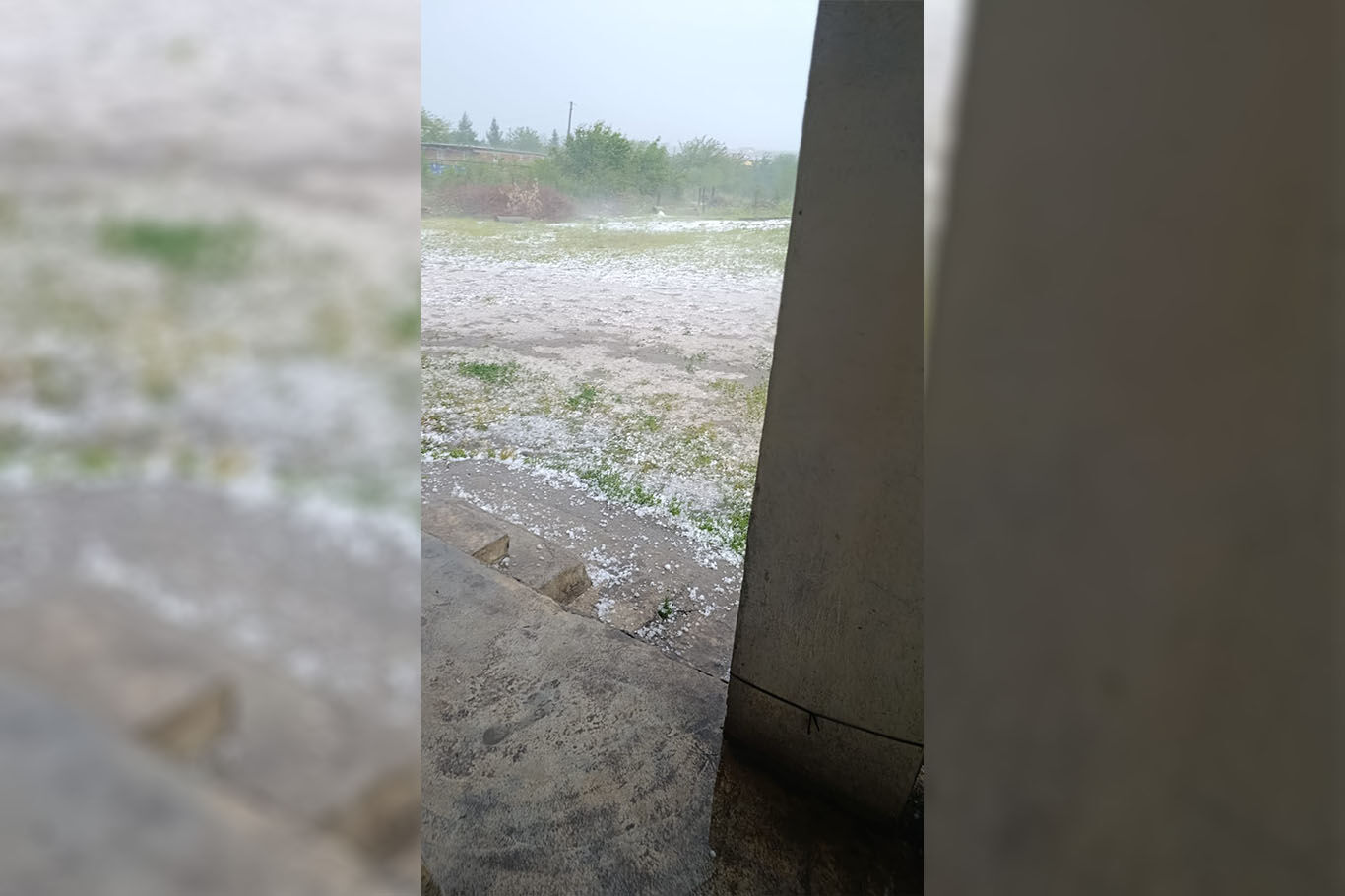 Şanlıurfa'da sağanak ve dolu yağışı tarım arazilerine zarar verdi