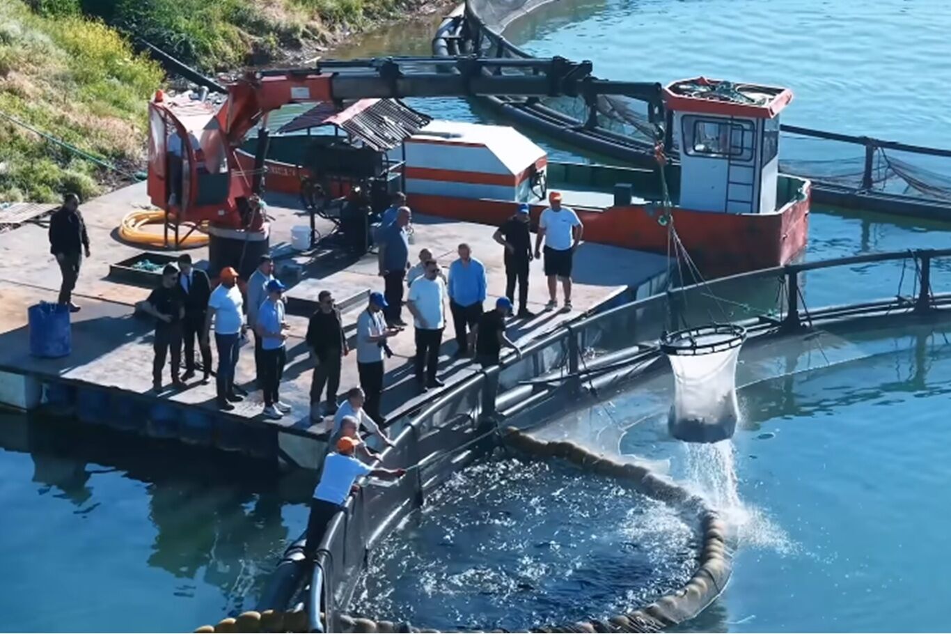 Bingöl'de alabalık hasadı: Vali Çelik su ürünleri tesisinde incelemelerde bulundu