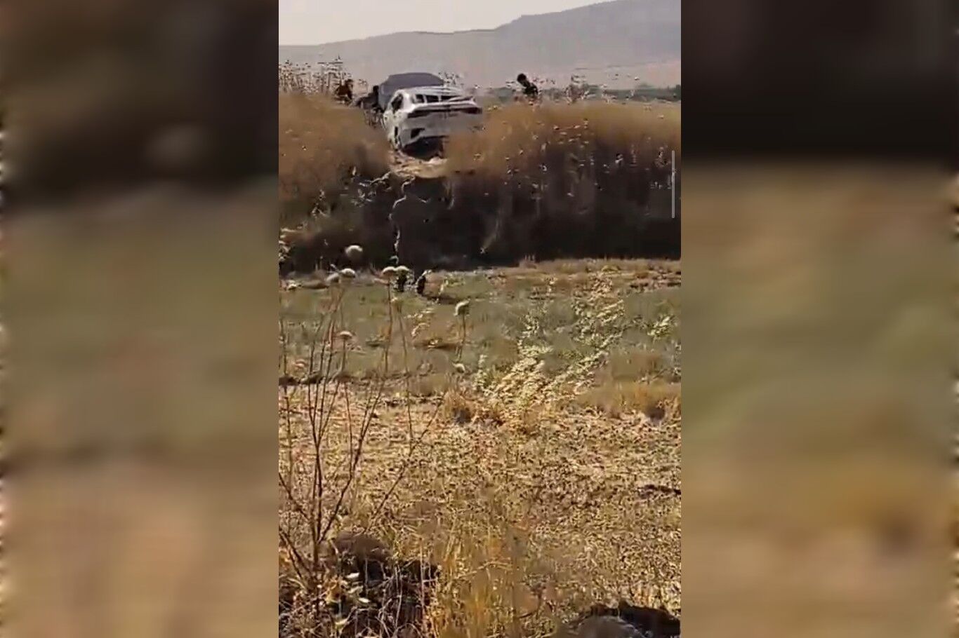 Mardin'de kontrolden çıkan otomobil tarlaya uçtu: 4 yaralı