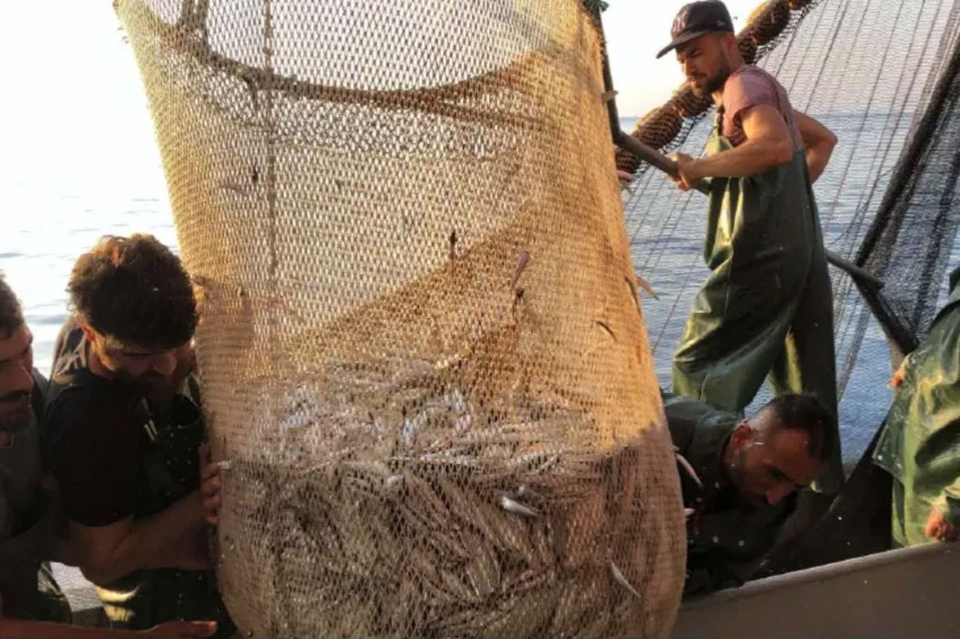İzmir'de balık sezonu bereketli başladı: Tezgâhlarda fiyatlar geriledi